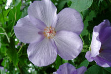arboretum_225x150_015.jpg