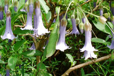 arboretum_225x150_024.jpg