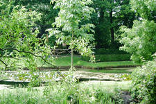 arboretum_225x150_051.jpg