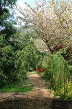 arboretum_150x225_005.jpg