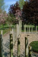 arboretum_150x225_013.jpg