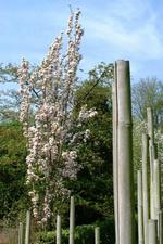 arboretum_150x225_014.jpg
