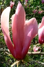 arboretum_150x225_016.jpg