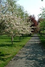 arboretum_150x225_017.jpg