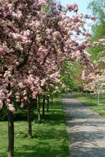 arboretum_150x225_019.jpg