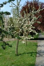 arboretum_150x225_021.jpg