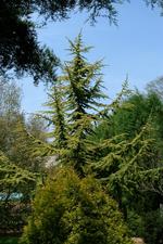arboretum_150x225_028.jpg