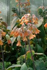 arboretum_150x225_029.jpg