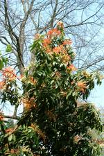 arboretum_150x225_033.jpg