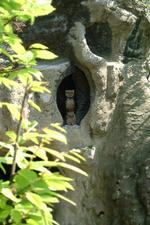 arboretum_150x225_036.jpg