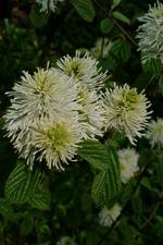 arboretum_150x225_038.jpg