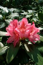 arboretum_150x225_041.jpg