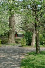 arboretum_150x225_053.jpg