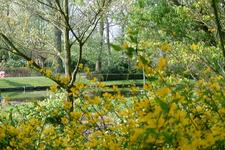 arboretum_225x150_006.jpg