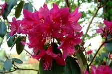 arboretum_225x150_011.jpg