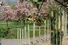 arboretum_225x150_012.jpg