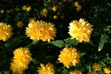 arboretum_225x150_015.jpg