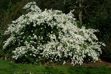arboretum_225x150_027.jpg