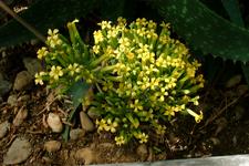 arboretum_225x150_030.jpg