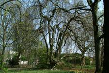 arboretum_225x150_034.jpg
