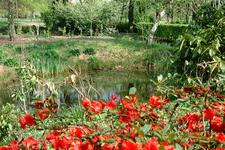 arboretum_225x150_039.jpg