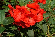 arboretum_225x150_040.jpg