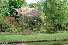arboretum_225x150_042.jpg