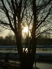 arboretum_170x227_046.jpg