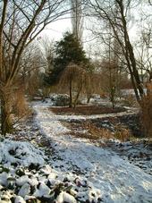 arboretum_170x227_047.jpg