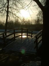 arboretum_170x227_048.jpg