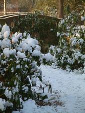 arboretum_170x227_051.jpg