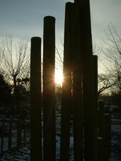arboretum_170x227_061.jpg
