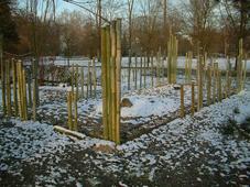 arboretum_227x170_060.jpg