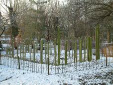 arboretum_227x170_067.jpg