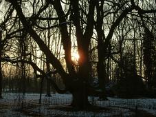 arboretum_227x170_071.jpg
