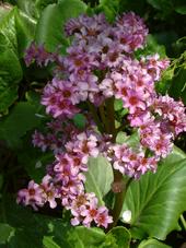 arboretum_170x227_020.jpg