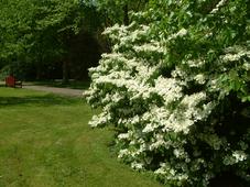 arboretum_227x170_003.jpg