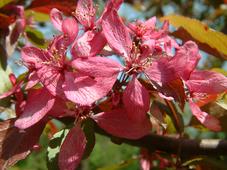 arboretum_227x170_010.jpg