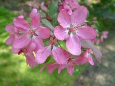arboretum_227x170_011.jpg