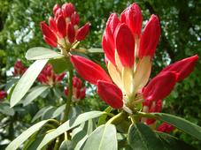 arboretum_227x170_031.jpg