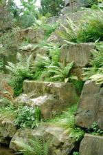 arcen_150x225_061.jpg