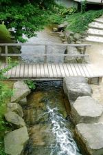 arcen_150x225_062.jpg