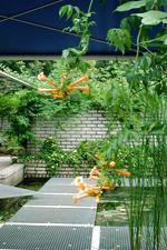arcen_150x225_090.jpg