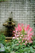 arcen_150x225_097.jpg