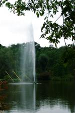 arcen_150x225_099.jpg