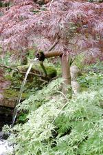 arcen_150x225_116.jpg