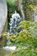 arcen_150x225_125.jpg