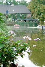 arcen_150x225_132.jpg