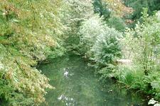 arcen_225x150_047.jpg
