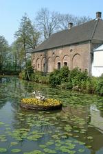 arcen_150x225_004.jpg